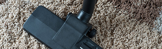 carpet-maintenance