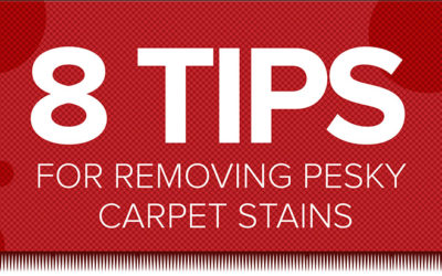 How To Get Stains Out Of Carpet [Infographic]