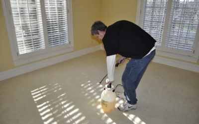 Steam Cleaning Carpet in Carmel, Indiana