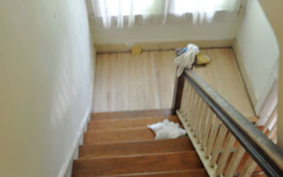 Wood Floor Stairway and Landing