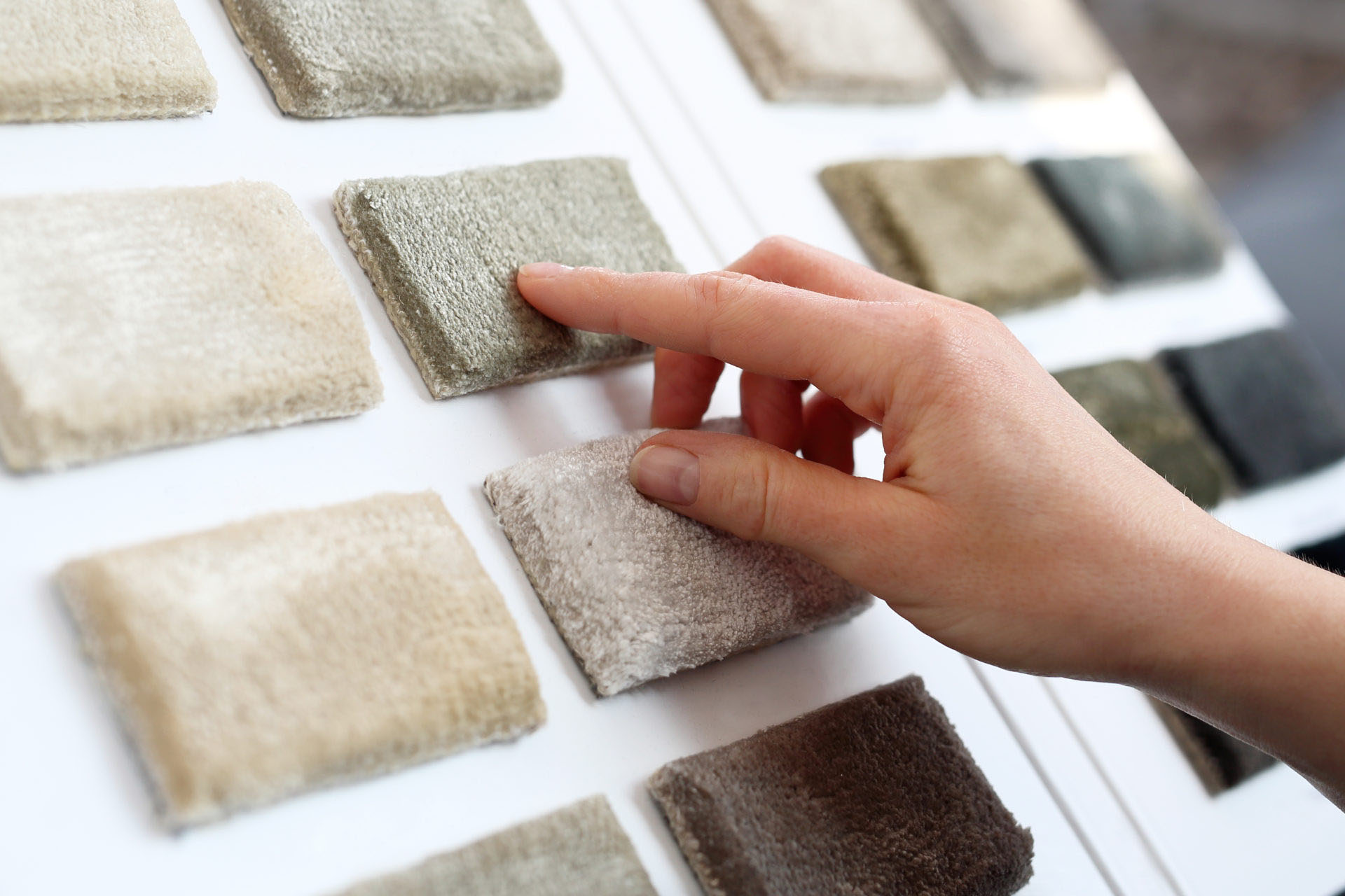 What to Look for in a Modern Living Room Carpet ProSand Flooring